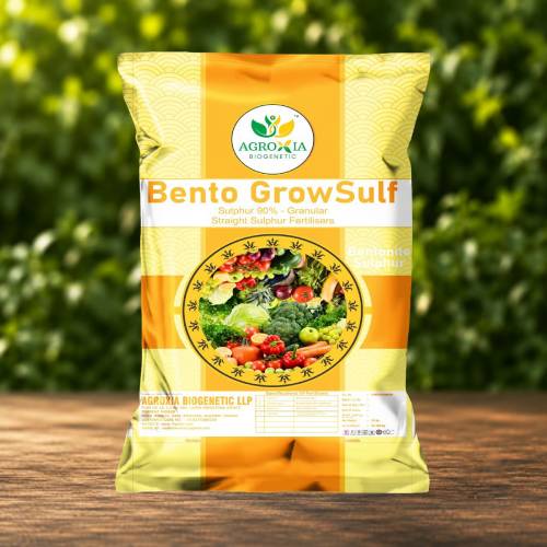 Bento Growsulf