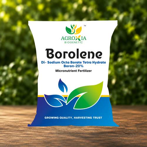 Borolene