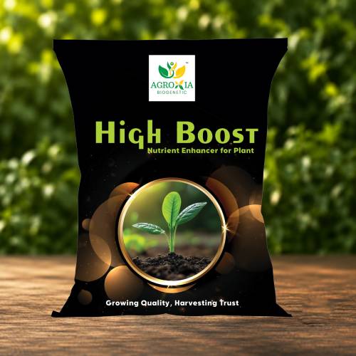 High Boost