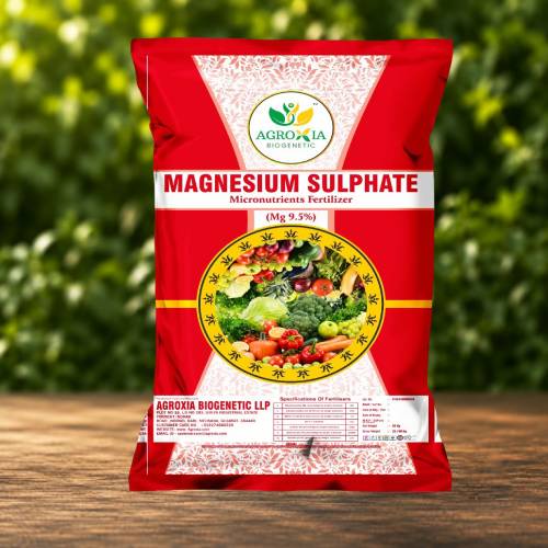 Magnesium Sulphate