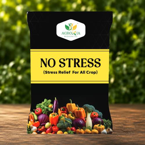 No Stress