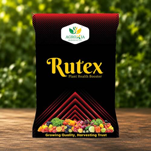 Rutex