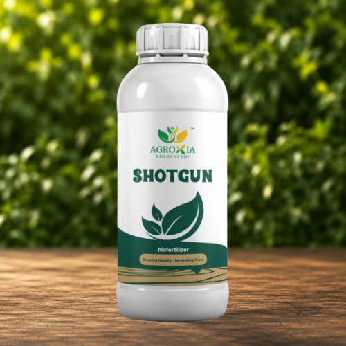 Shotgun